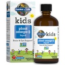 生活儿童花园(Garden of Life Kids Plant Omega-3 Liquid) 草莓(Strawberry) - 为孩子提供维根脑和眼部支持,植物类儿童Omega 3 ALA,DHA和EPA 儿童补充品,无糖与非GMO - 2 fl oz Liquid