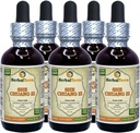 She Chuang Zi (Fructus Cnidii) Tincture, Organic Dried Fruits Liquid Extract (Brand Name: HerbalTerra, Proudly Made in USA) 5x2 fl.oz (5x60 ml)