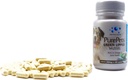 PurePets 新西兰对狗和猫的绿色浸泡胶囊-200mg×120Capsules-Hip和联合支持-100%天然关节炎疼痛缓解-流动补充炎症管理