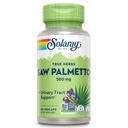 SOLARAY Saw Palmetto Berry 580 mg, 健康前列腺和尿道收缩支持,来自肥酸和植物 Sterols for Men and Women, N-GMO, Vegan & Lab 验证, 50 Veg Caps, 50 services