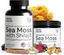 大西洋自然海 摩斯超级食品包 - 海 摩斯 配有 Shilajit 5-in-1 Capsules & Sea Moss Powder 配有 Ashwagandha, Beet Root & Maca Root - 增强生命力,皮肤和运动支持 60 cm t & 150g