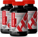 男子建身器 - CREATINE Powder 100G - Creatine Bulk - 3瓶(粉)