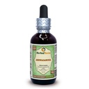 Ashwagandha (Withania Somnifera) Glycerite,有机干根无酒精液体提取 2 oz