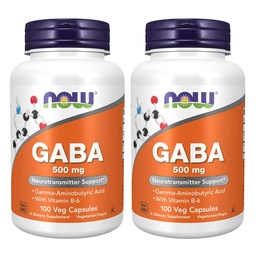 Now Gaba 500mg 100 计数( 包数 2)