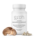 Groh Daily Virtuality Boost - ErgoD2提供的所有天然毛发生长补充动力 - 富含抗氧化剂 - 维生素更强的毛发,皮肤和钉子 - 瘦毛的最佳选择 - 60 Counter
