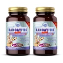 Solgar Kangavites, Boncin ' Berry Flavor - 120块可切片,包装2 - 儿童完整的多维他命和矿物公式 - Vegan, Gluten Free