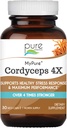 PURE ESSENCE LABS MyPure Cordyceps 4X 蘑菇 - 集中式Cordyceps 蘑菇粉补充剂用于免疫系统,应激反应,生理和心理表现 - 1个月供应量
