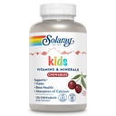 SOLARAY 儿童维生素和矿产品 完成 儿童大黑樱桃花(076280047974)(120 Chews, 60 Serv)