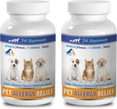 狗免疫系统补充剂 - PET过敏救济 - 用于狗和猫 - 高级公式 - 用于狗的Burdock根 - 2瓶(150只)
