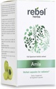 叛逆草药 Amla Capsules(阿马拉基) - 免疫支持,Vegan,Gluten-Free,Ayurvedic,抗氧化剂,认证有机安拉