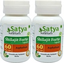 Shilajit Forte Capsules 500 mg. 60 Veg. Capsule | Shilajit (Asphaltum) 摘取 男男女女卡普尔 | Ayurvedic 草药补充剂/补救 | 10:1 堡(2瓶60 Capsules)