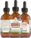 RawGuru Organic Reishi 蘑菇丁香 - Reishi 蘑菇丁香 - 天然履带矿物提取 - Nano-Processed Conceptive & Immune Supports - 60 services of Vegan Drops 每60毫升,包1