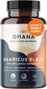 Aloha 药品纯 Agaricus Blazei 500 mg 90 蔬菜卡普尔