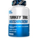营养 土耳其 Tail 蘑菇 - 500mg 有机土耳其 Tail 蘑菇 / Capsule - 免疫支持 - 饮食补充 - Vegan & Non-GMO - 60 services - 60 Capsules