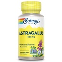 SOLARAY Astragalus Root 550mg 健康免疫功能和应激支持 适应源 Herb | Non-GMO & Vegan | 100 Veg Caps